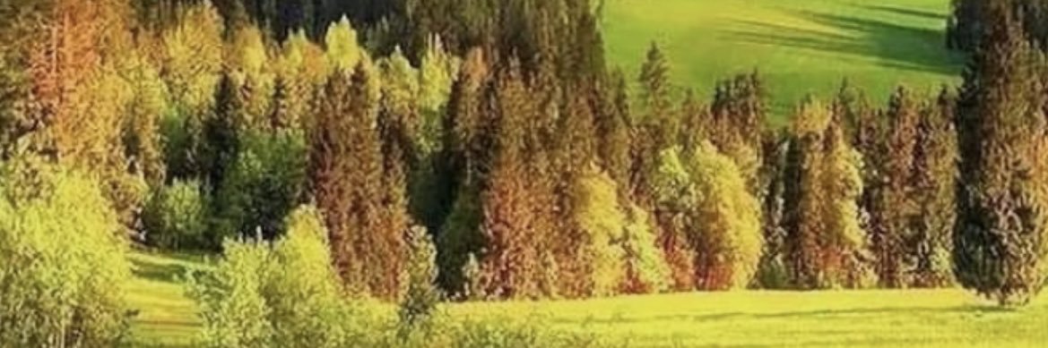 Tuplay banner