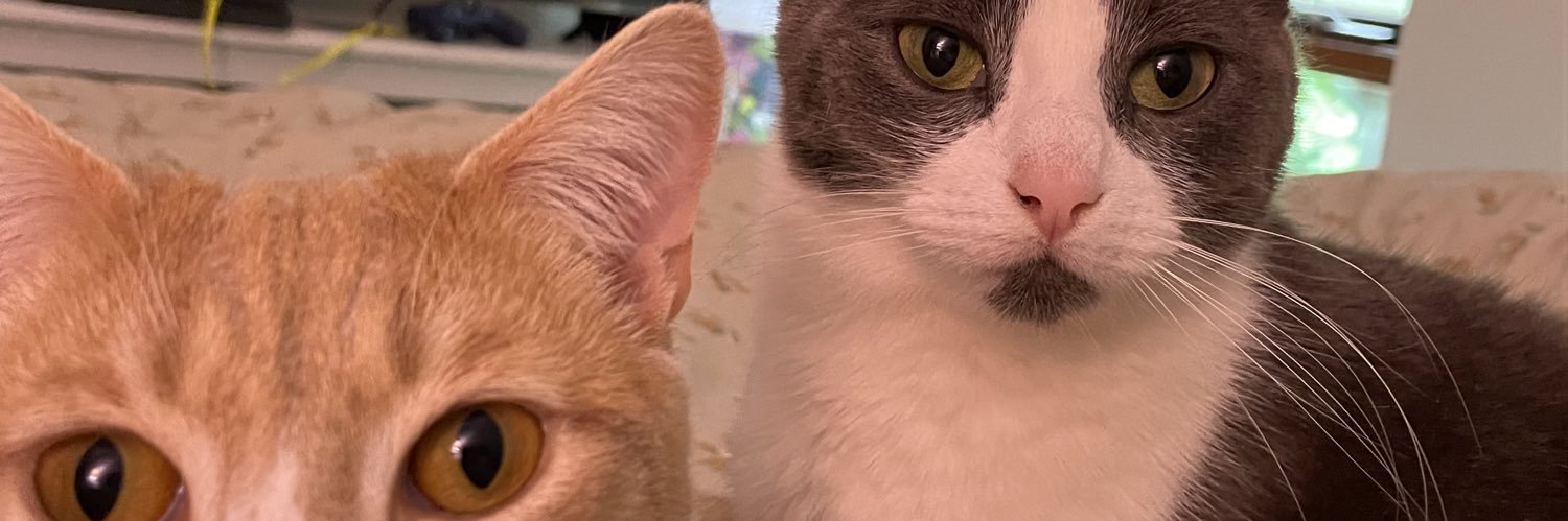 erinlabarbera's profile banner image