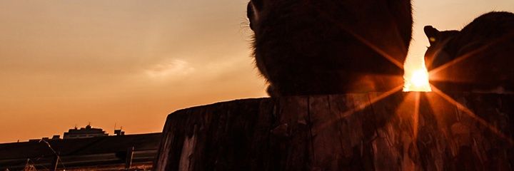 NooR7034's profile banner image