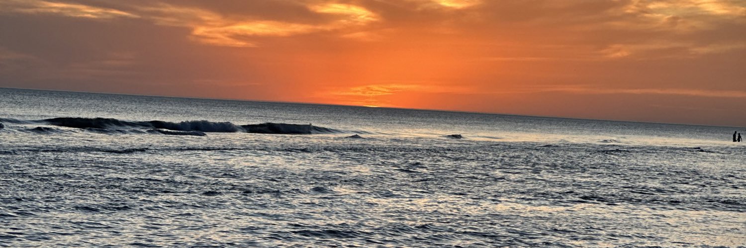 rochiibertolini's profile banner image