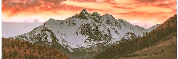 roz_oja's profile banner image