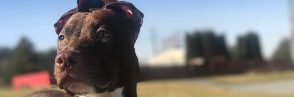 grayboy06's profile banner image