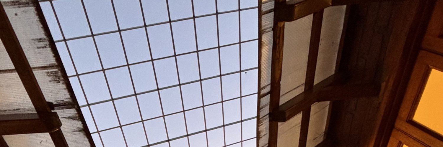 vxrslc_'s profile banner image