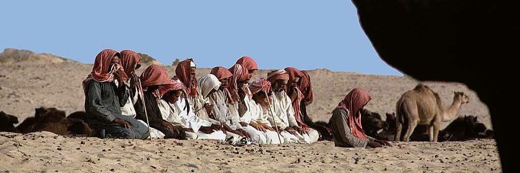 Mohammed Alboqami banner