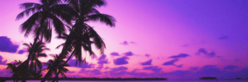 tiffybee76's profile banner image