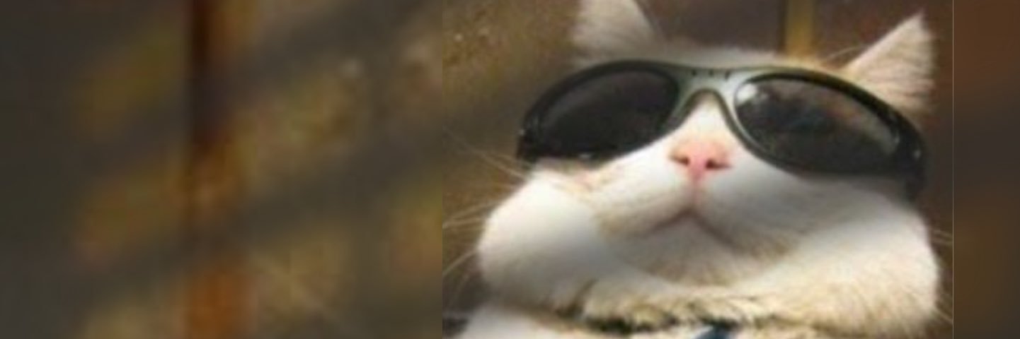 dhenaerys's profile banner image