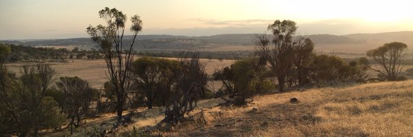 Janine_Milne Profile Banner