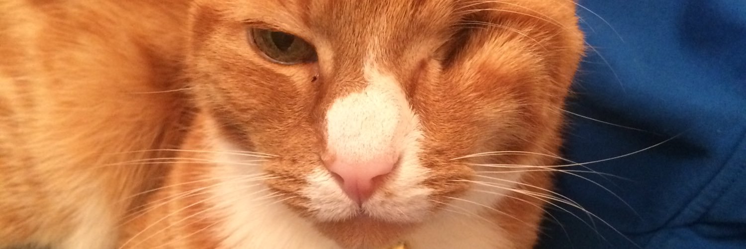 lisa23967's profile banner image