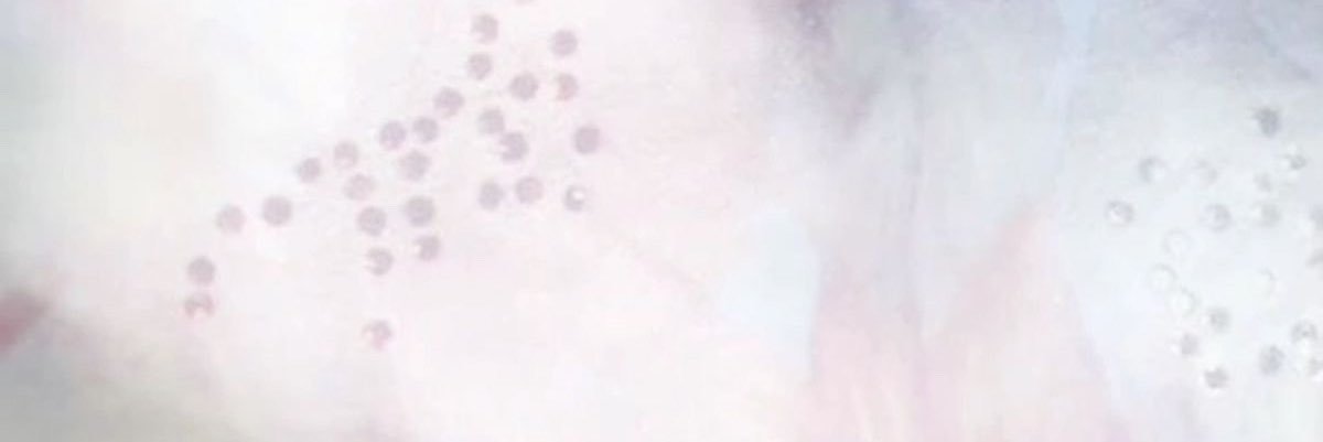suohaimie's profile banner image