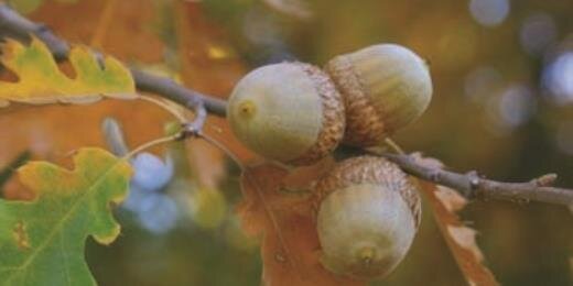 oaktreeproducts's profile banner image
