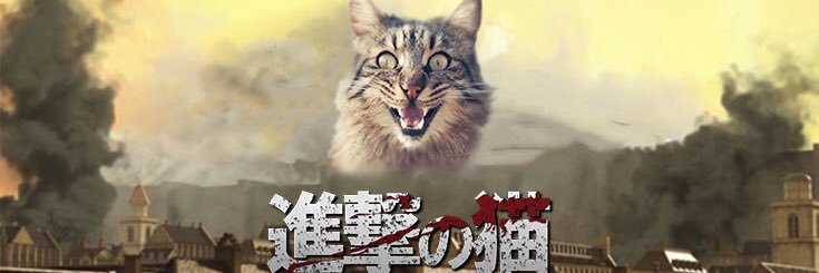 syoki0920's profile banner image