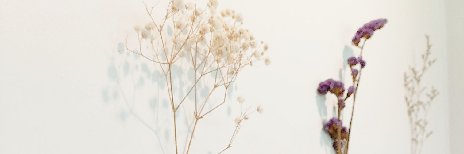 aressyd's profile banner image