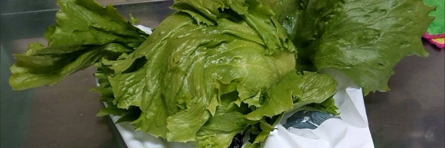 77pepe55's profile banner image