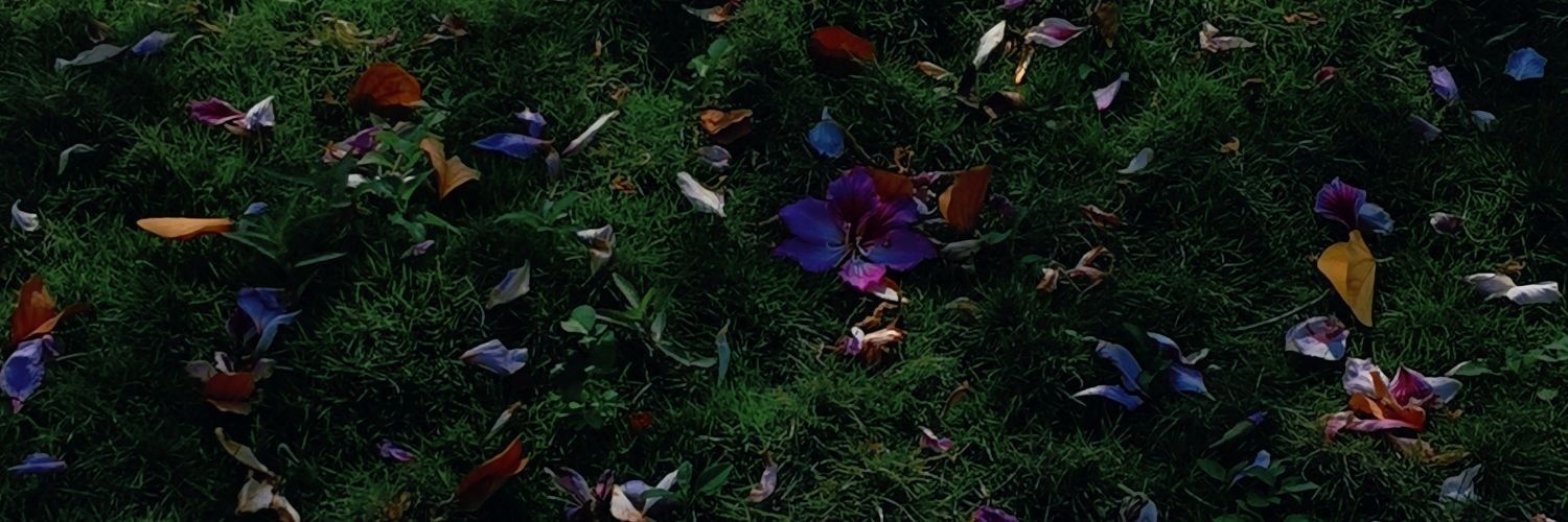 heesunflower's profile banner image