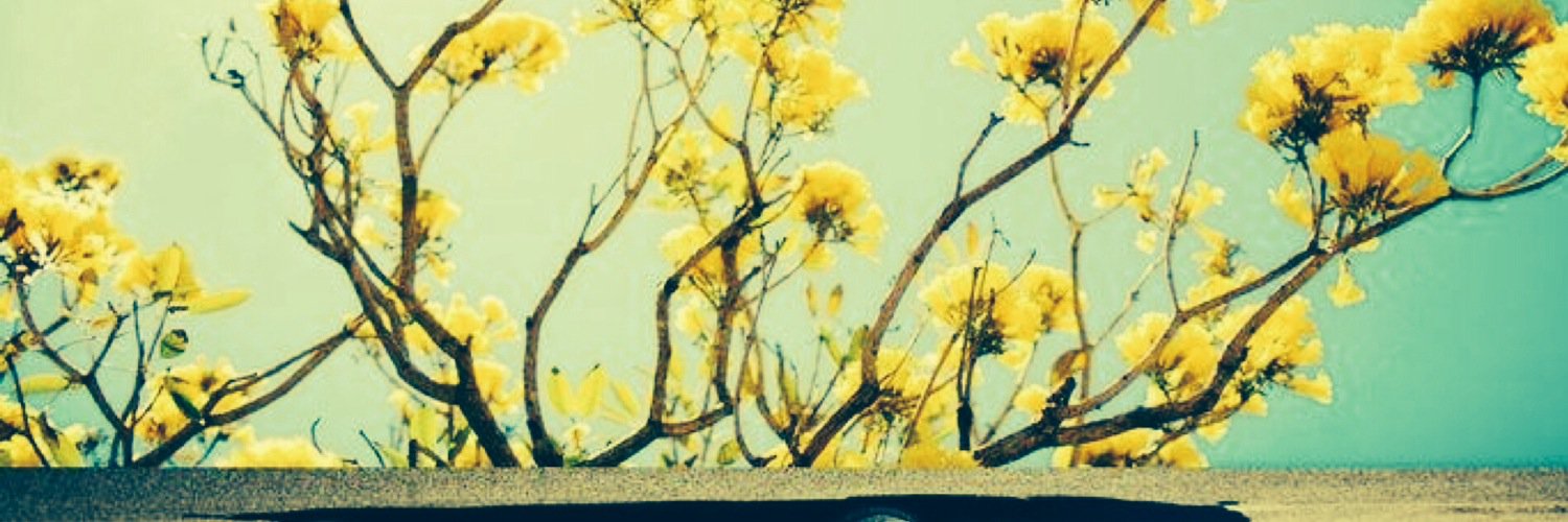 Chey banner