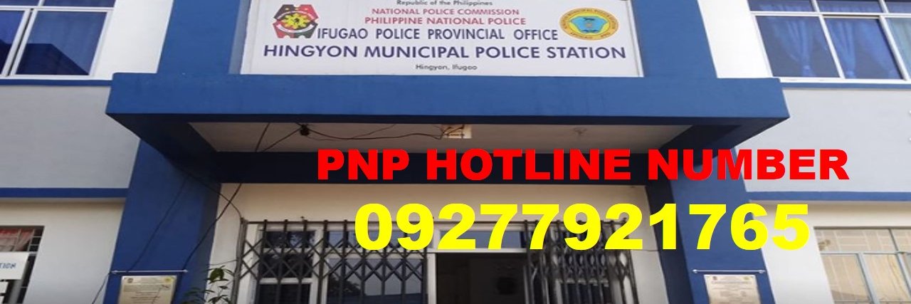 PNPHingyonn's profile banner image