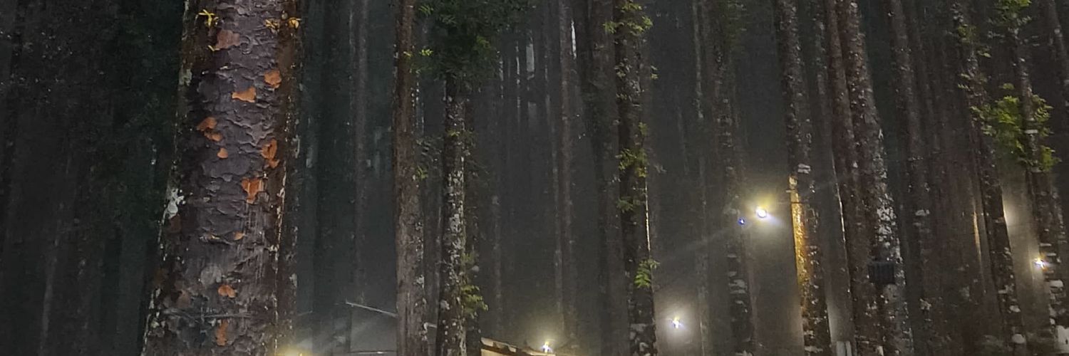 ekarahma's profile banner image