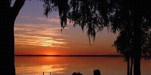 Shalom el banner