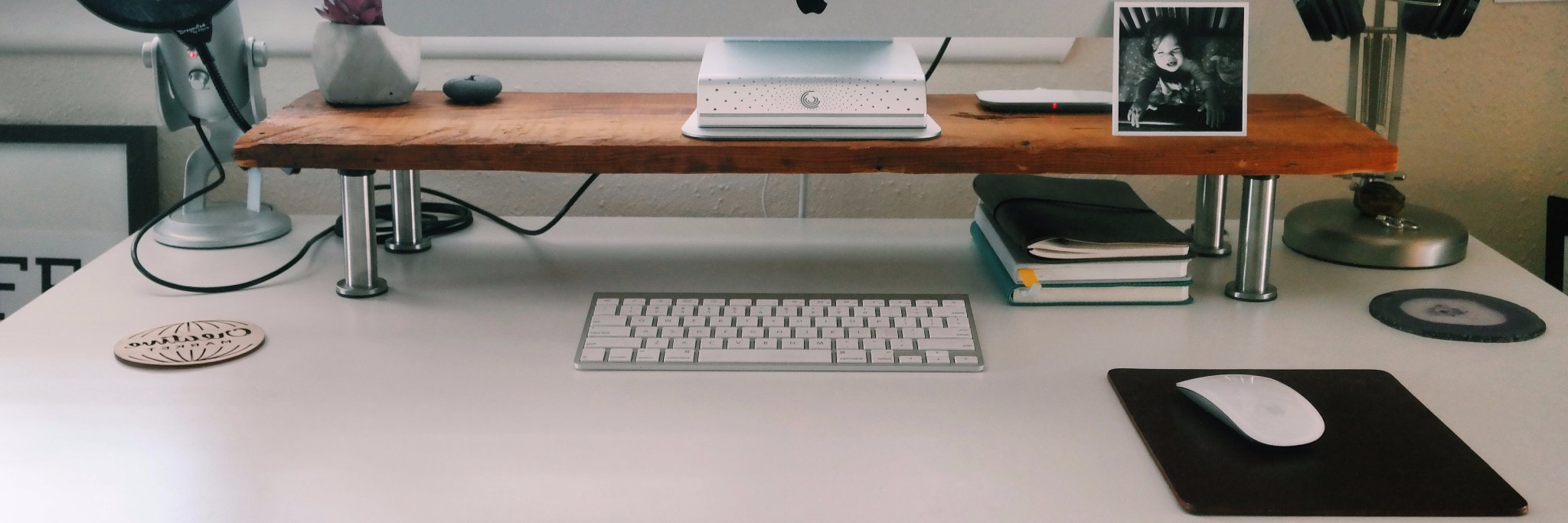 Veronica Domeier banner