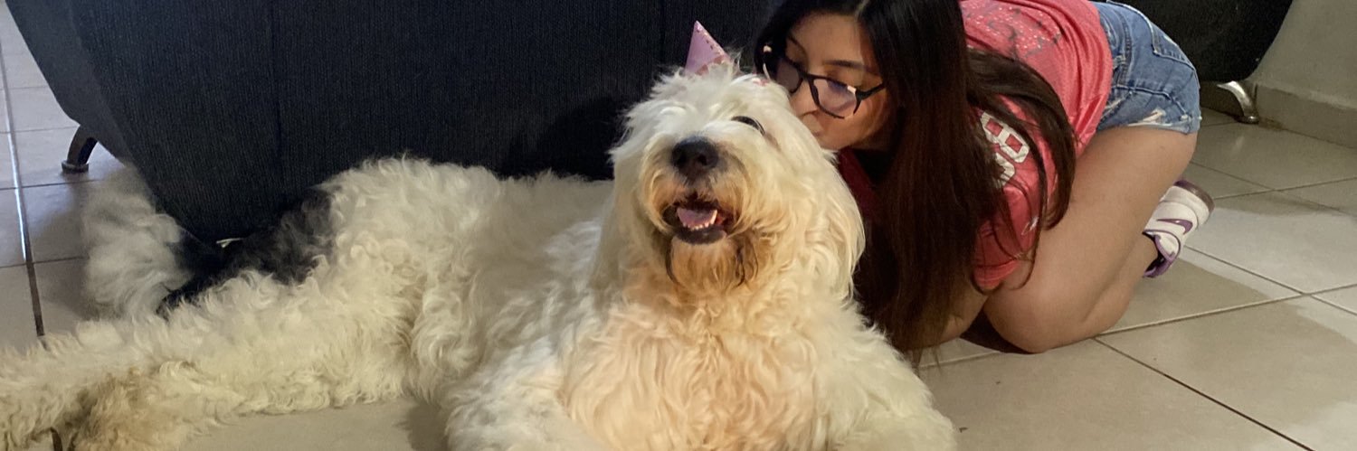 yoselinsanchezh's profile banner image