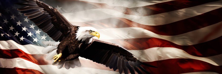 T.O. banner
