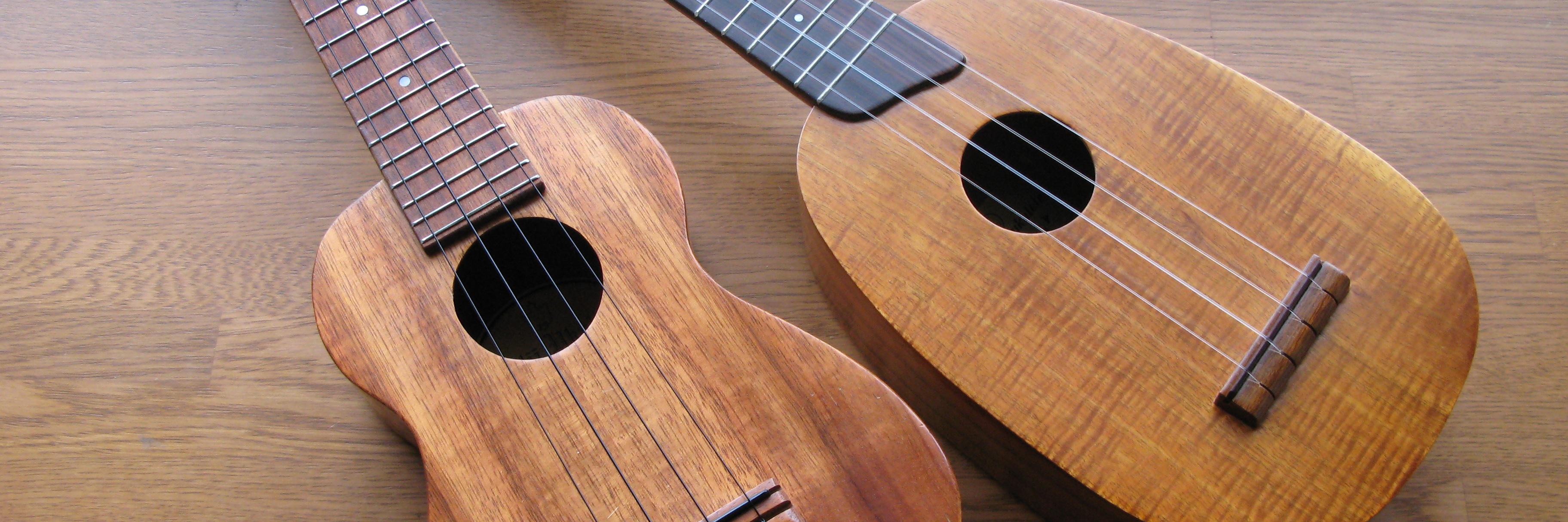 ukulele88's profile banner image