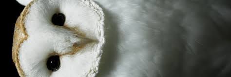 agng_'s profile banner image