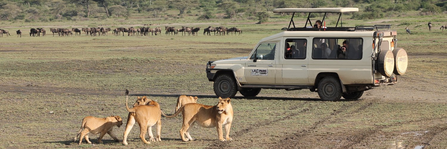 Leopard Tours Ltd banner