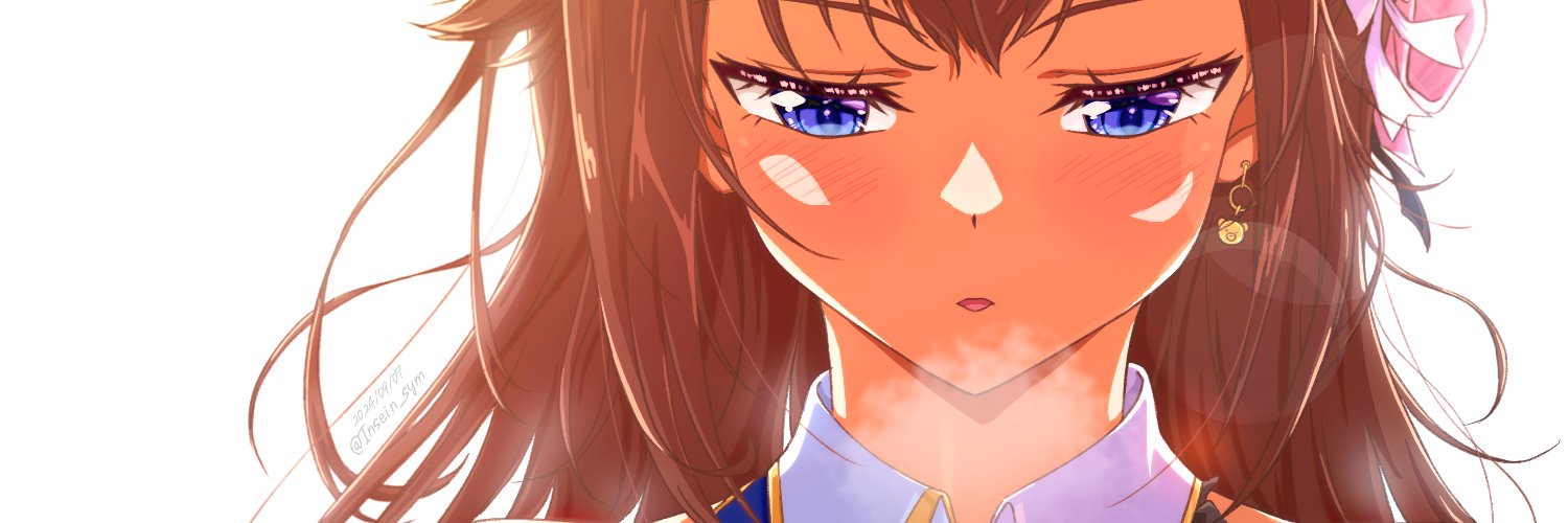 インセイン🐻💿 banner