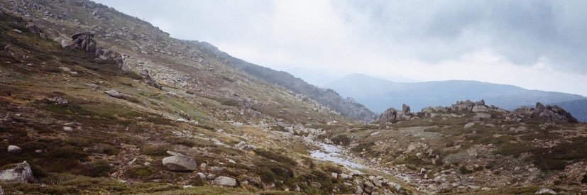 emilyjmead's profile banner image