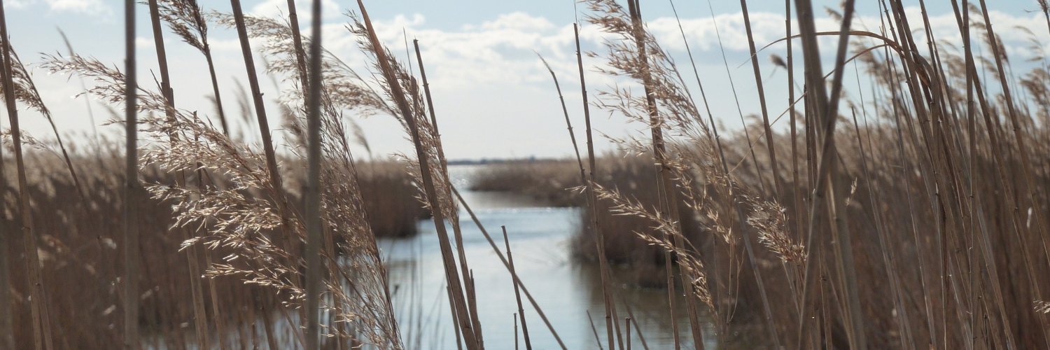 Communauté de communes de Petite Camargue banner