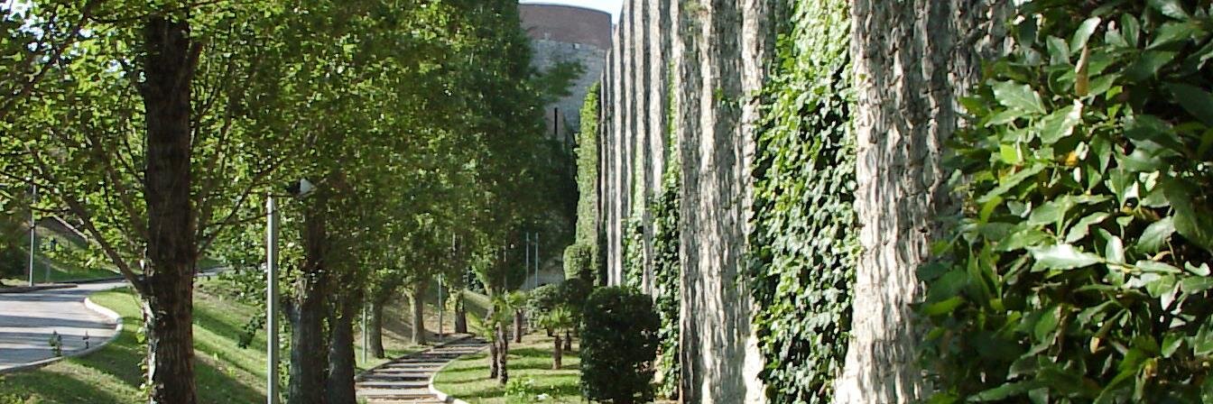 Raimon Ribas Mora banner