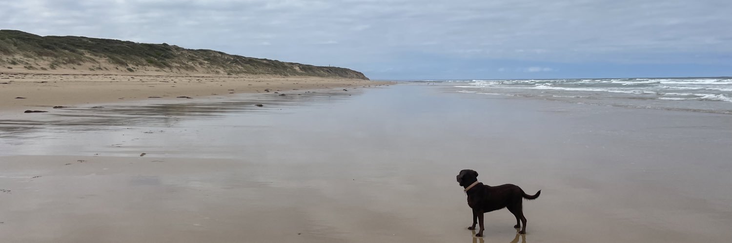 kevdee4's profile banner image