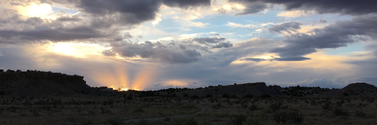 Raphael Valdivia banner