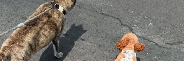 12_chatterbox Profile Banner