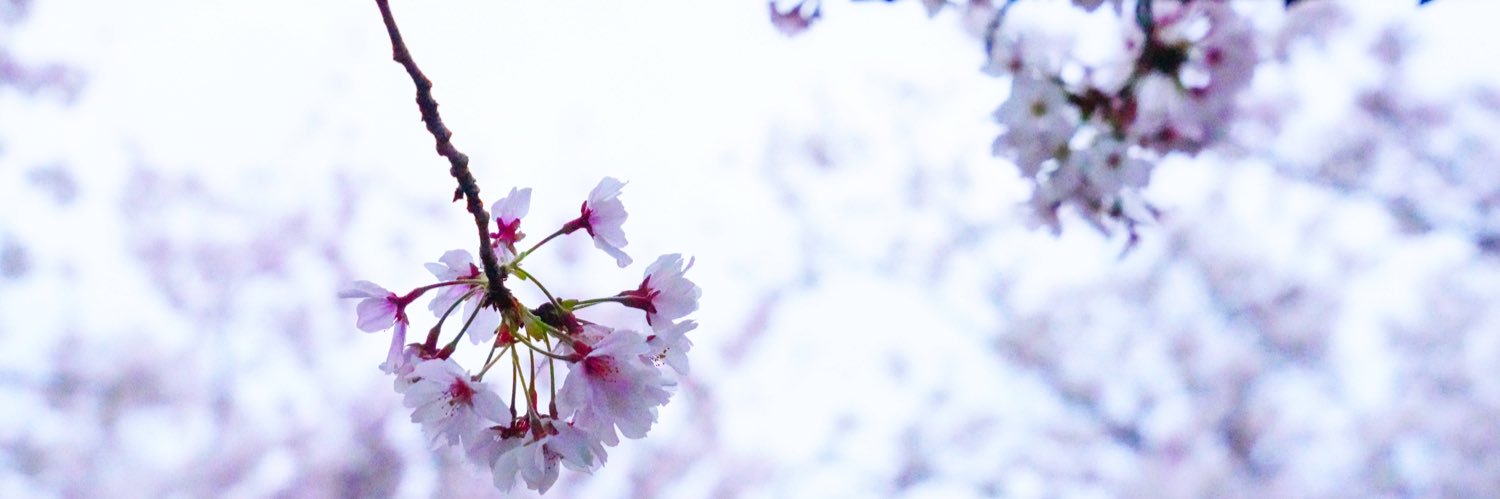 ひ banner