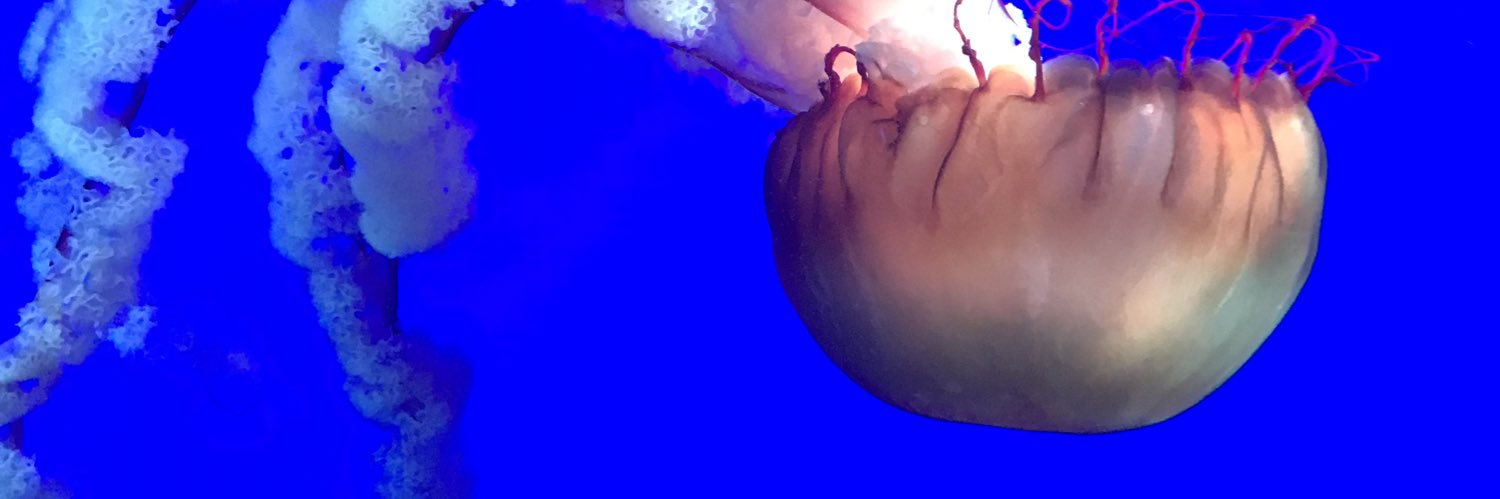 acet986's profile banner image