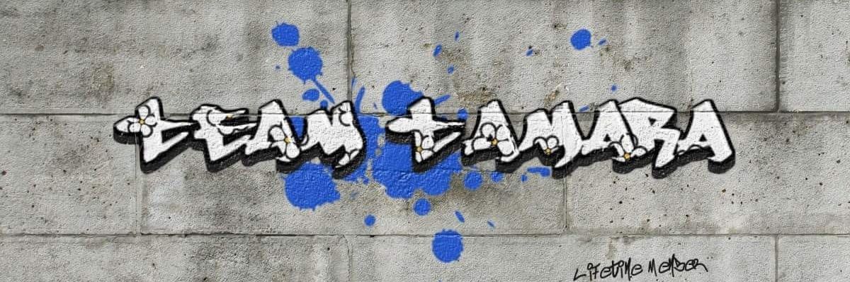 elmotamara's profile banner image