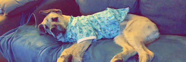 QuantumJC Profile Banner