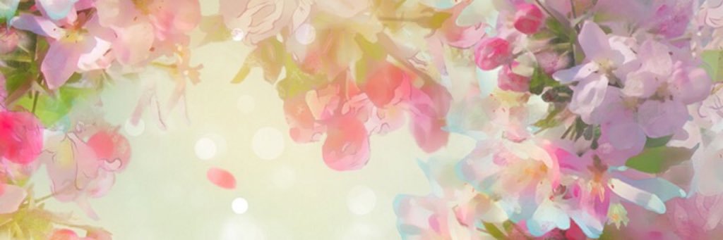 mipeach2's profile banner image