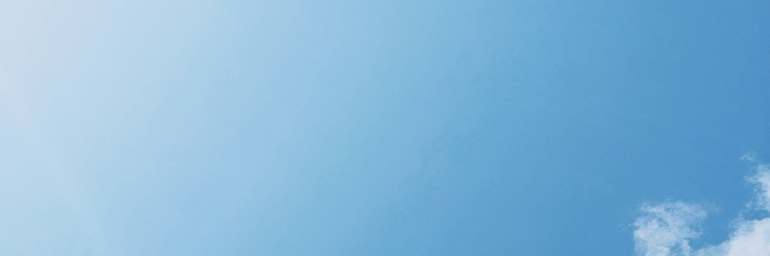 Bern banner