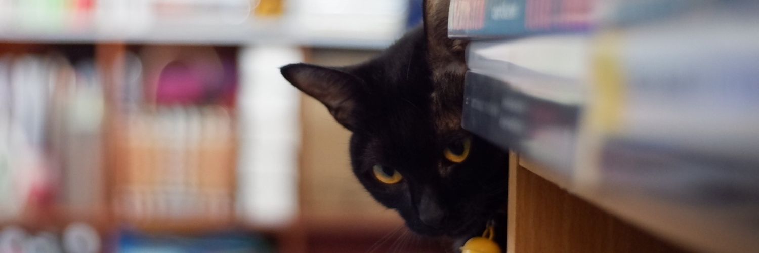 𝐬𝐚𝐲𝐜⚯𝐥𝐞𝐧𝐠𝐥𝐢𝐬𝐡™🧠📚🐈‍⬛ banner