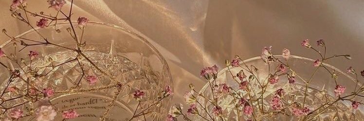 paularivas28's profile banner image