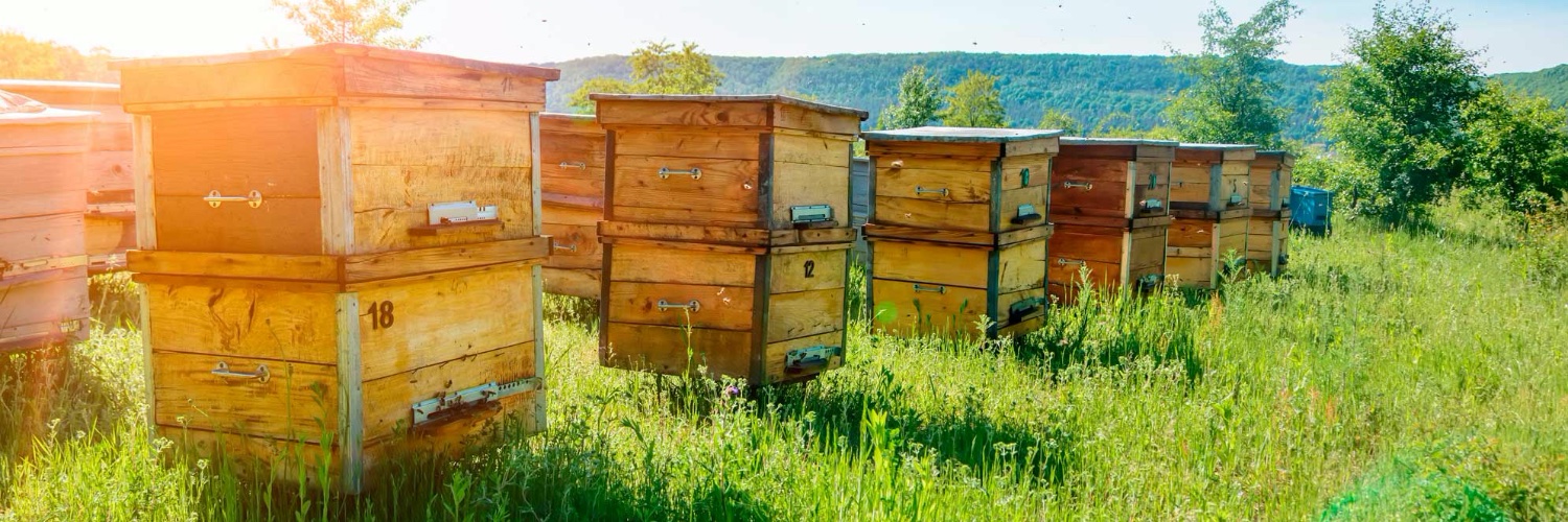 KeepingItLocal banner