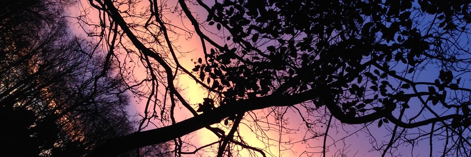 jcs_xx's profile banner image