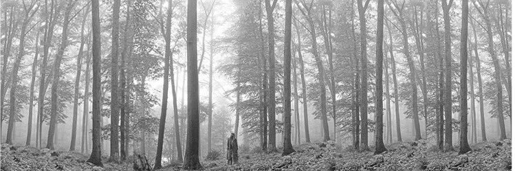 Ivibul's profile banner image
