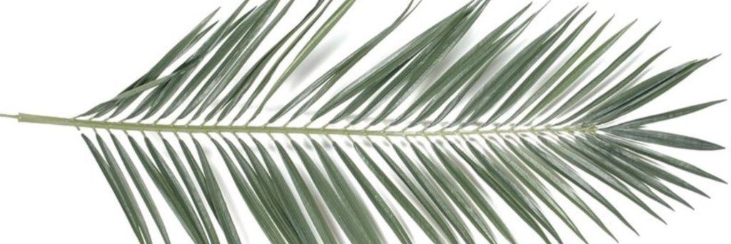 akramalbaity's profile banner image