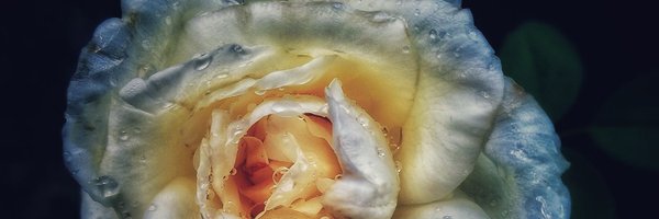 Mudassirkhali12 Profile Banner