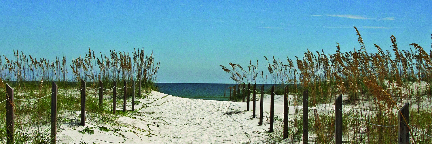 FL Forgotten Coast banner