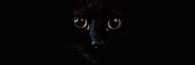 CriptoPandora banner